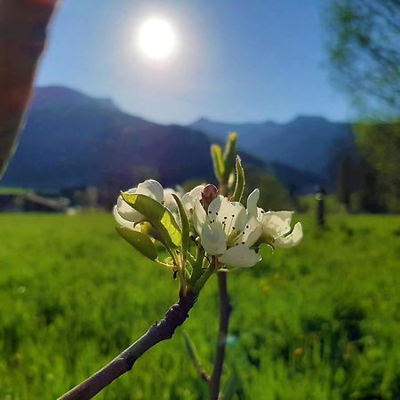 Pulvererhof Achenkirch Exteriér fotografie