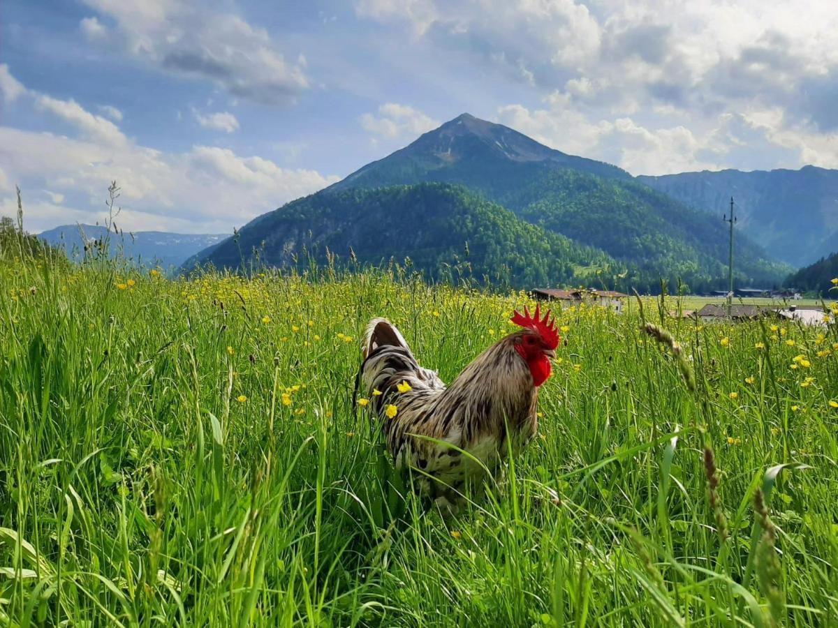 Pulvererhof Achenkirch Exteriér fotografie